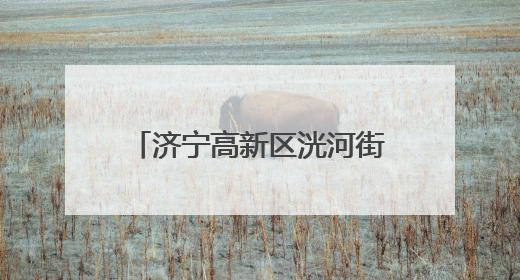 济宁高新区洸河街道在东闸社区开展端午节慰问活动