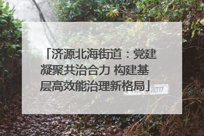济源北海街道：党建凝聚共治合力 构建基层高效能治理新格局