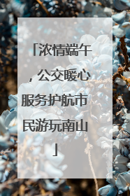 浓情端午，公交暖心服务护航市民游玩南山