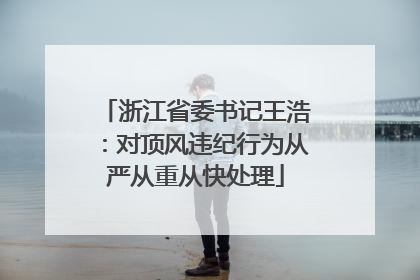 浙江省委书记王浩：对顶风违纪行为从严从重从快处理