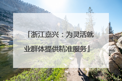 浙江嘉兴：为灵活就业群体提供精准服务