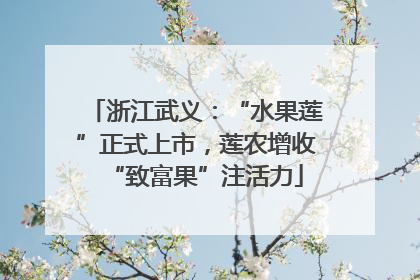 浙江武义：“水果莲”正式上市，莲农增收“致富果”注活力