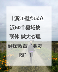 浙江桐乡成立近60个县域教联体 做大心理健康教育“朋友圈”