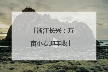 浙江长兴：万亩小麦迎丰收