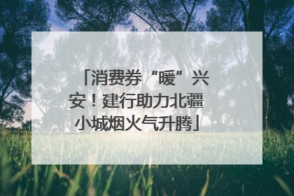消费券“暖”兴安！建行助力北疆小城烟火气升腾