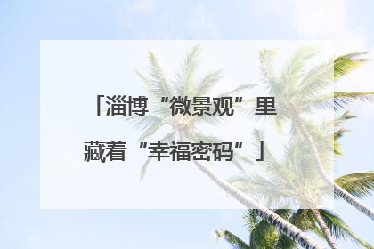 淄博“微景观”里藏着“幸福密码”