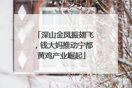 深山金凤振翅飞，钱大妈推动宁都黄鸡产业崛起