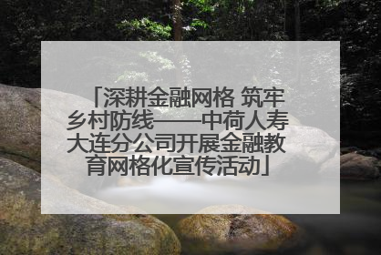 深耕金融网格 筑牢乡村防线——中荷人寿大连分公司开展金融教育网格化宣传活动