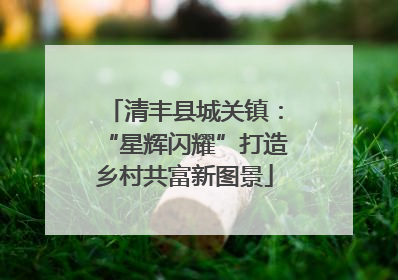 清丰县城关镇：“星辉闪耀”打造乡村共富新图景