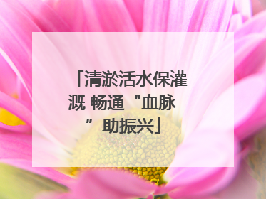 清淤活水保灌溉 畅通“血脉”助振兴