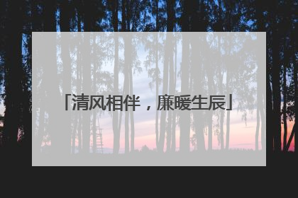 清风相伴，廉暖生辰