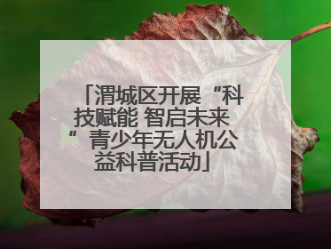 渭城区开展“科技赋能 智启未来”青少年无人机公益科普活动