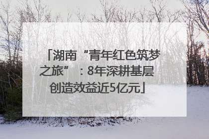 湖南“青年红色筑梦之旅”：8年深耕基层创造效益近5亿元