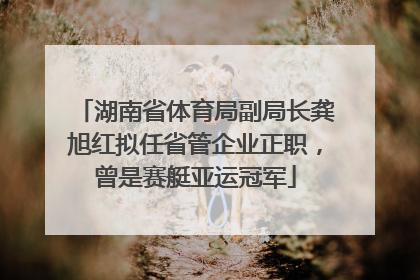 湖南省体育局副局长龚旭红拟任省管企业正职，曾是赛艇亚运冠军