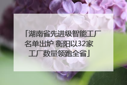 湖南省先进级智能工厂名单出炉 衡阳以32家工厂数量领跑全省