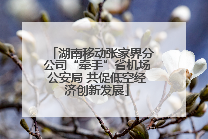 湖南移动张家界分公司“牵手”省机场公安局 共促低空经济创新发展
