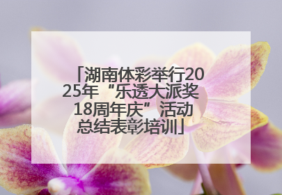 湖南体彩举行2025年“乐透大派奖 18周年庆”活动总结表彰培训