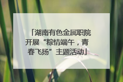 湖南有色金属职院开展“粽情端午，青春飞扬”主题活动