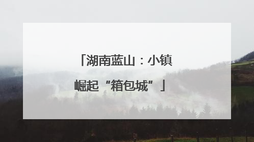 湖南蓝山：小镇崛起“箱包城”