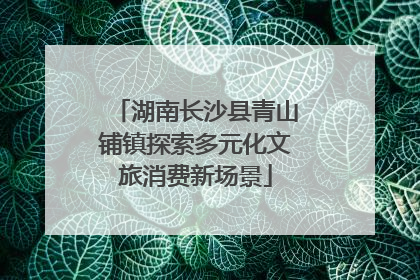 湖南长沙县青山铺镇探索多元化文旅消费新场景