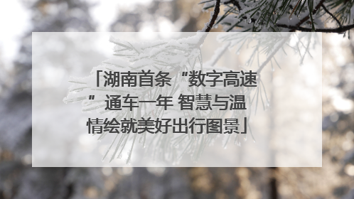 湖南首条“数字高速”通车一年 智慧与温情绘就美好出行图景
