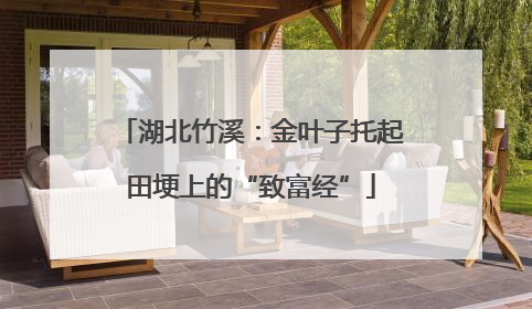 湖北竹溪：金叶子托起田埂上的“致富经”
