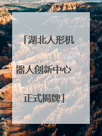 湖北人形机器人创新中心正式揭牌