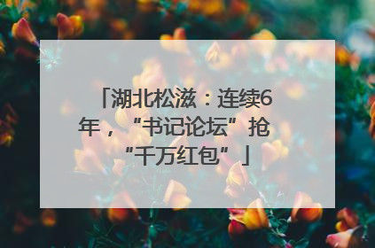 湖北松滋：连续6年，“书记论坛”抢“千万红包”
