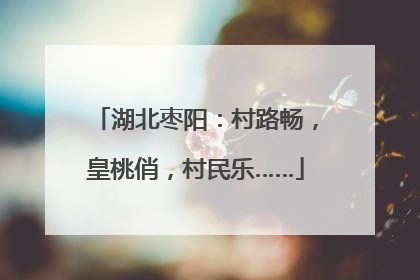 湖北枣阳：村路畅，皇桃俏，村民乐……