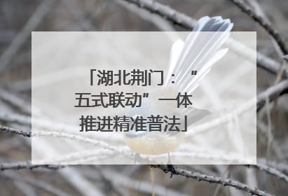 湖北荆门：“五式联动”一体推进精准普法