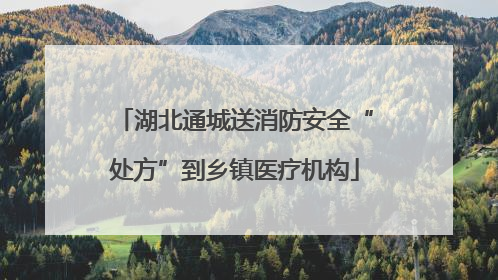 湖北通城送消防安全“处方”到乡镇医疗机构