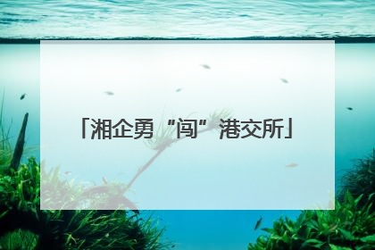 湘企勇“闯”港交所
