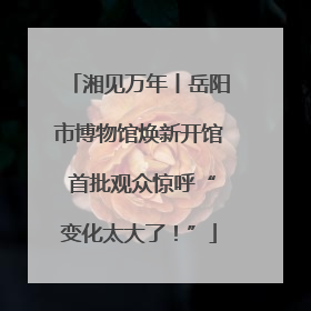 湘见万年丨岳阳市博物馆焕新开馆 首批观众惊呼“变化太大了！”