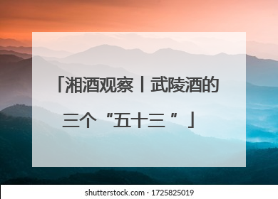 湘酒观察丨武陵酒的三个“五十三 ”