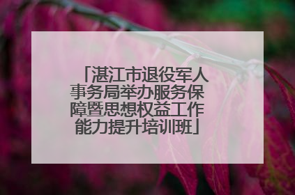 湛江市退役军人事务局举办服务保障暨思想权益工作能力提升培训班