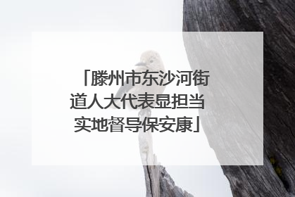 滕州市东沙河街道人大代表显担当实地督导保安康