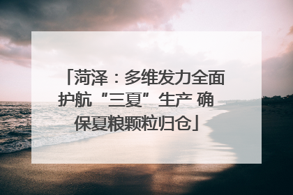 菏泽：多维发力全面护航“三夏”生产 确保夏粮颗粒归仓