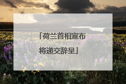 荷兰首相宣布将递交辞呈