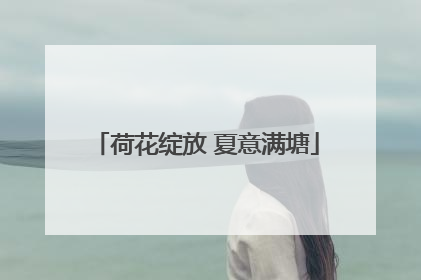荷花绽放 夏意满塘