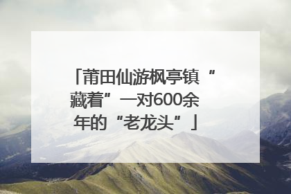 莆田仙游枫亭镇“藏着”一对600余年的“老龙头”
