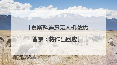 莫斯科连遭无人机袭扰 普京：将作出回应