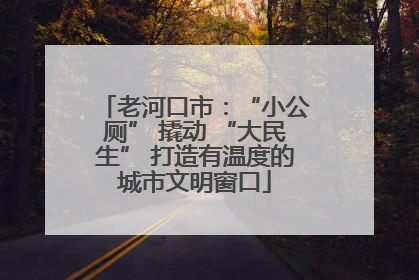 老河口市：“小公厕” 撬动 “大民生” 打造有温度的城市文明窗口