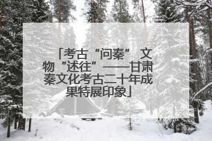 考古“问秦” 文物“述往”——甘肃秦文化考古二十年成果特展印象