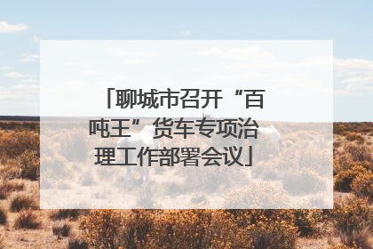 聊城市召开“百吨王”货车专项治理工作部署会议