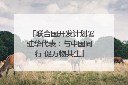 联合国开发计划署驻华代表：与中国同行 促万物共生