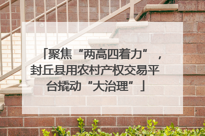 聚焦“两高四着力”，封丘县用农村产权交易平台撬动“大治理”