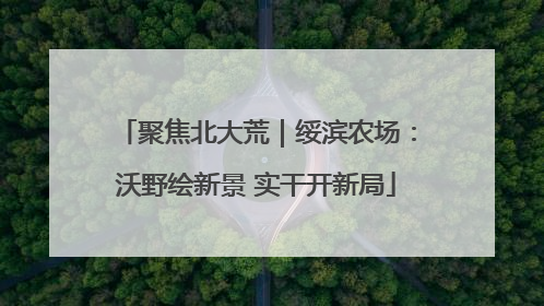 聚焦北大荒｜绥滨农场：沃野绘新景 实干开新局