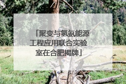 聚变与氢氨能源工程应用联合实验室在合肥揭牌