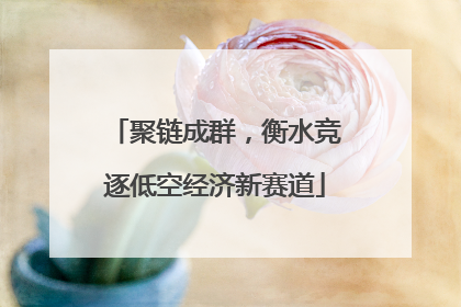 聚链成群，衡水竞逐低空经济新赛道