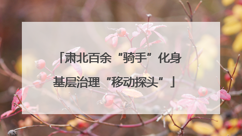 肃北百余“骑手”化身基层治理“移动探头”